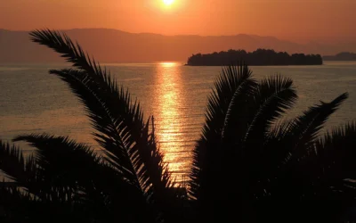 Home 2 Island Caper
