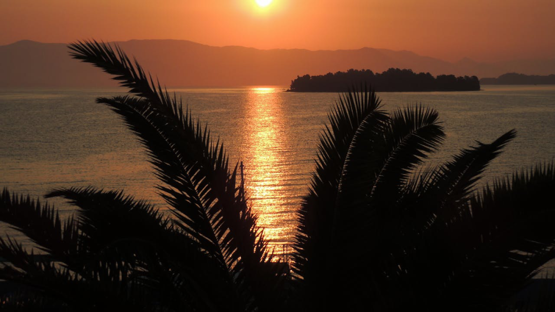 Island Caper